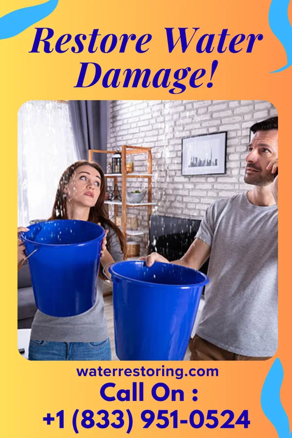 water restoration Capital Flood Mitigation Specialists Redwood Falls