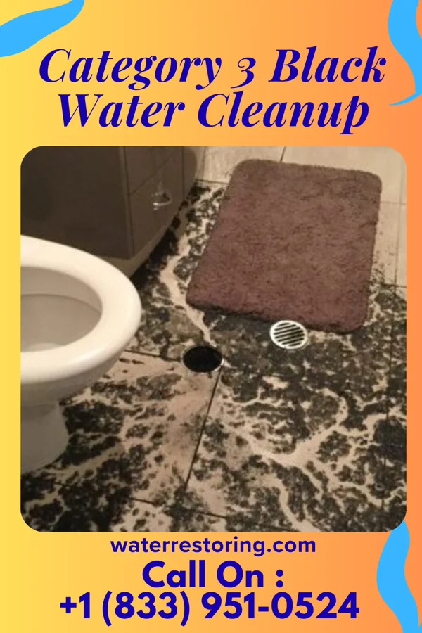 Category 3 Black Water Cleanup in Redwood Falls, MN